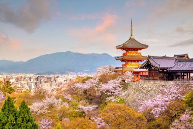 Kiyomizu-dera Tapınağı ve kiraz çiçeği mevsimi (Sakura) ilkbahar zamanı Japonya 'nın Kyoto kentinde
