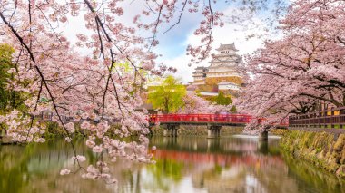 Japonya 'da kiraz çiçekli Himeji kalesi