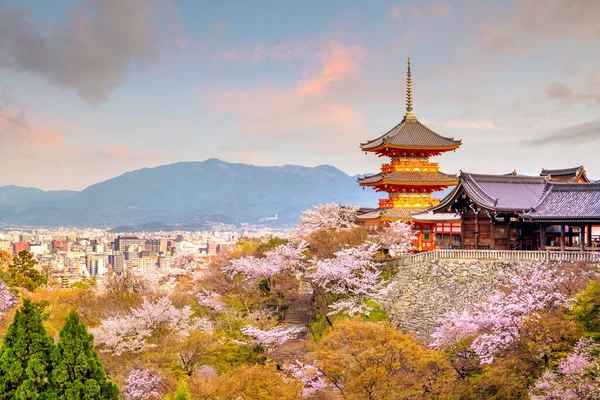 Kiyomizu Dera Rozciągacz Wiśnia Sezon Kwitnienia Sakura Wiosna Czasu Kioto — Zdjęcie stockowe