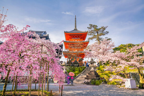 Kiyomizu-dera Temple and cherry blossom season (Sakura) spring time in Kyoto, Japan