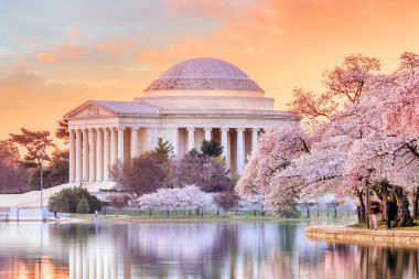 Washington DC, ABD 'de düzenlenen Kiraz Çiçeği Festivali sırasında Jefferson Memorial