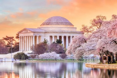Washington DC, ABD 'de düzenlenen Kiraz Çiçeği Festivali sırasında Jefferson Memorial