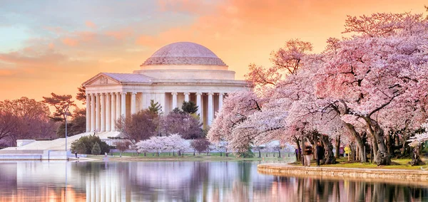 Jefferson Memorial Κατά Διάρκεια Του Φεστιβάλ Ανθίσεων Κεράσι Στην Ουάσιγκτον — Φωτογραφία Αρχείου