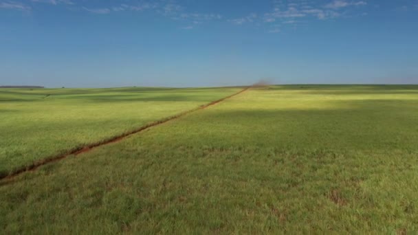 Widok Lotu Ptaka Plantacji Trzciny Cukrowej Nawadnianiem Słoneczny Dzień Brazylii — Wideo stockowe