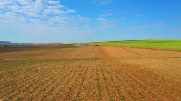 Воздушный Вид Плантацию Сахарного Тростника Орошением Солнечный День Бразилии — стоковое видео