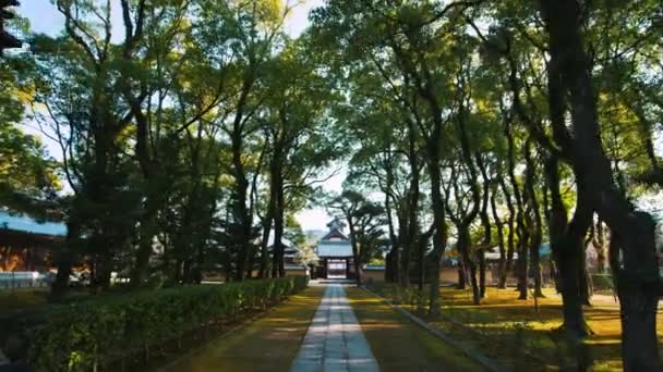Imágenes Escénicas Del Edificio Religioso Japonés — Vídeo de stock