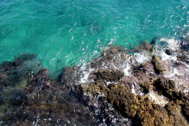 Yeşil denizdeki resif manzarası