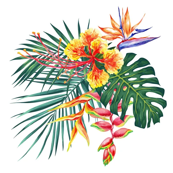 Illustratie Van Aquarel Stijl Met Exotische Bloemen Blaadjes Botanische Heldere — Stockvector