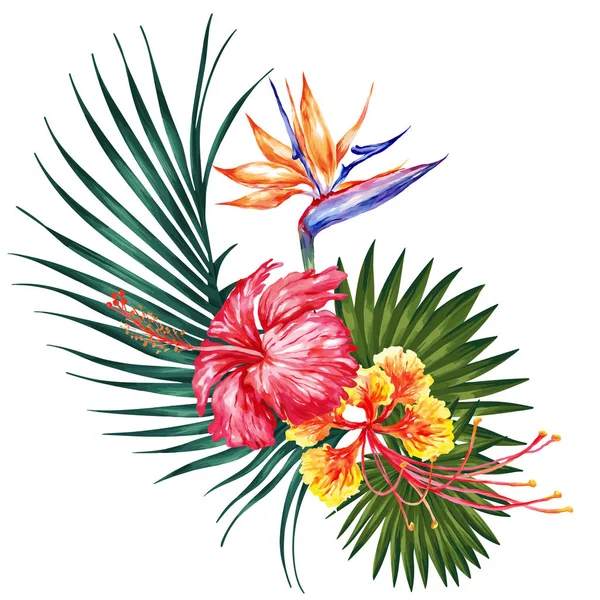 Akvarell Rajzos Illusztráció Egzotikus Virágok Levelek Botanikai Világos Jellegű Gyűjtemény Stock Illusztrációk
