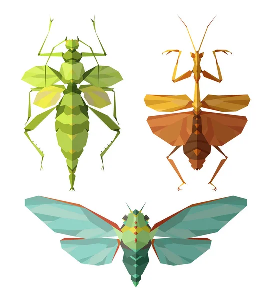 Iconos Insectos Conjunto Vectores Estilo Triangular Abstracto Mantis Polilla Escarabajo — Archivo Imágenes Vectoriales