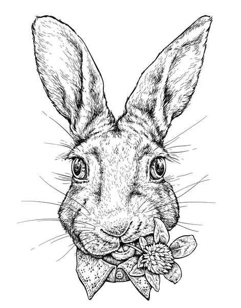Handgezeichnetes Porträt Eines Lustigen Hasen Vektorabbildung Isoliert Auf Weiß — Stockvektor