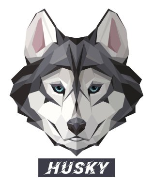 Husky köpek düşük poli dizayn. Beyaz izole üçgen vektör çizim