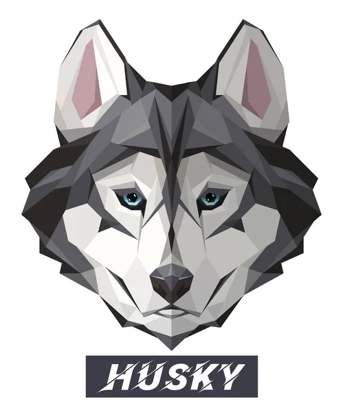 ハスキー犬の低ポリ デザイン 白で分離された三角形ベクトル図 — ストックベクタ