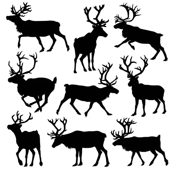 Reindeer Silhouette Set Vector Illustration — Stock Vector