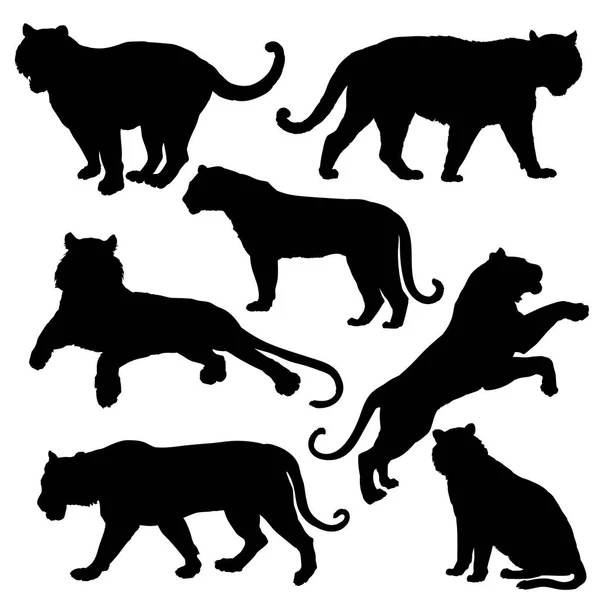 Ensemble Silhouette Tigres Illustration Vectorielle — Image vectorielle