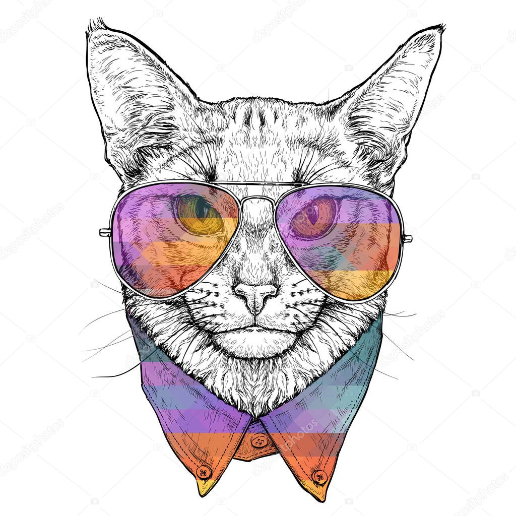 Hand drawn portrait of Abyssinian Cat in glasses. Vector illustration isolated on white