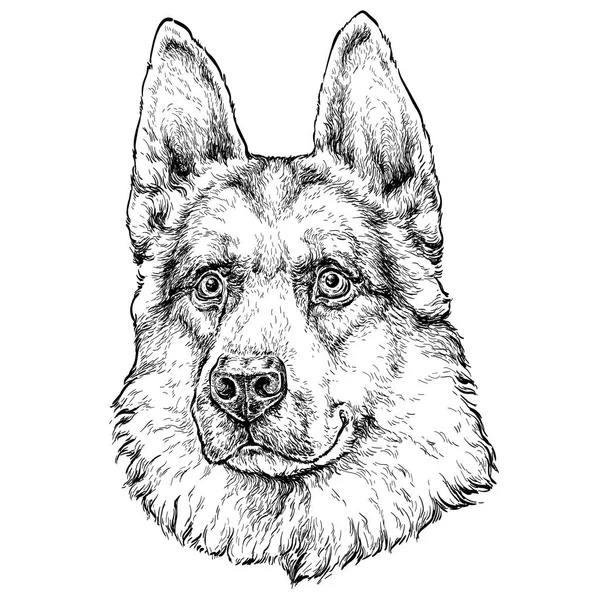Vector Illustration Cute Shepherd Dog — Stock Vector