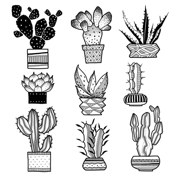 Koleksi Kaktus Set Vektor Gambar Tangan Dengan Outline Cacti Dalam - Stok Vektor