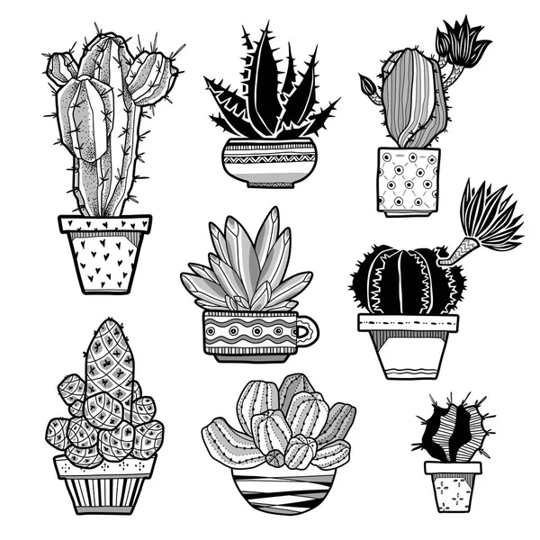 Cactussen Collectie Hand Getekend Vector Instellen Met Overzicht Cactussen Bloempotten — Stockvector