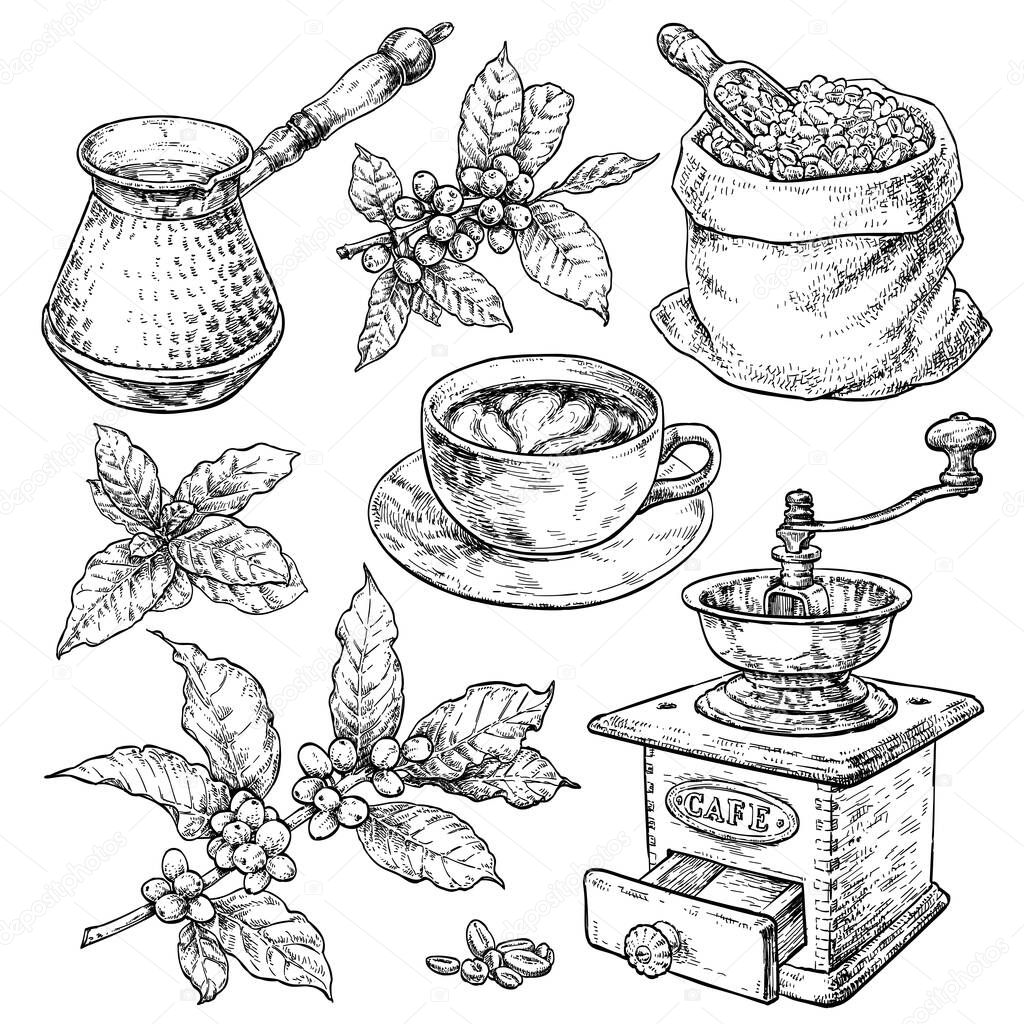 Retro style coffee set. Hand drawn vintage vector elements in engraving style