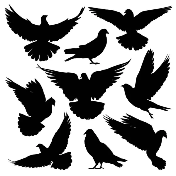 Doves Pigeons Silhouettes Set Vector Illustration — Stock Vector