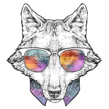 Kurt 'un gözlüklü portresi. Vektör illüstrasyonu beyazda izole edildi