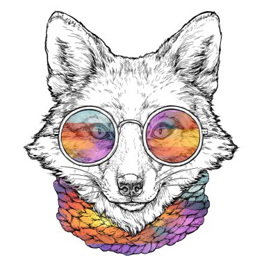 FOX 'un eşarplı gözlüklü portresi. Vektör illüstrasyonu beyazda izole edildi