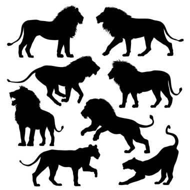 Afrika aslanı siluetleri hazır. Vektör illüstrasyonu.