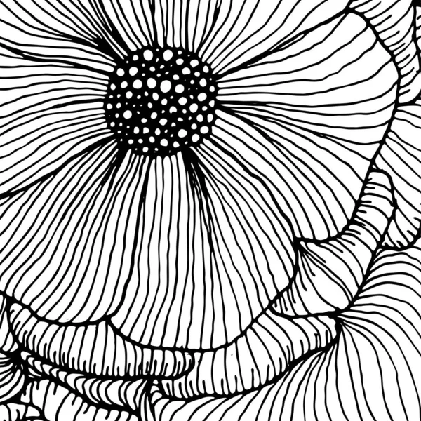 Vector doodle contour abstrait fleurs ornementales fond de bande — Image vectorielle