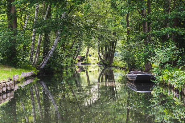 Almanya 'nın Brandenburg eyaletindeki Biyosfer rezervi Spreewald (Spreewald) su kanalı, yaz başında