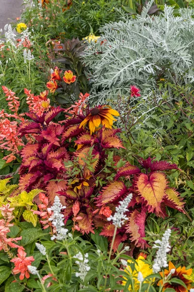 Bed of colorful summer flowers in autumn colors. Vertical stock photo.