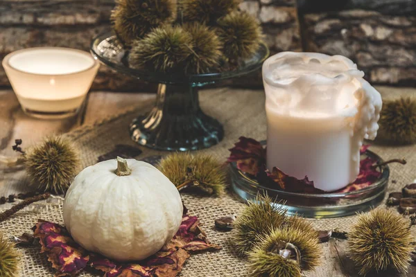 White ornamental pumpkin, candle and tealight glass with autumnal natural decoration