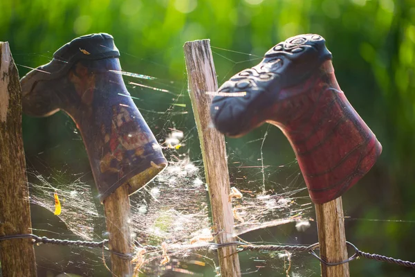 旧橡胶靴与蜘蛛网 — 图库照片
