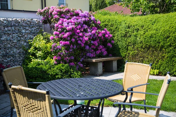 Garden with garden table and rhododendron