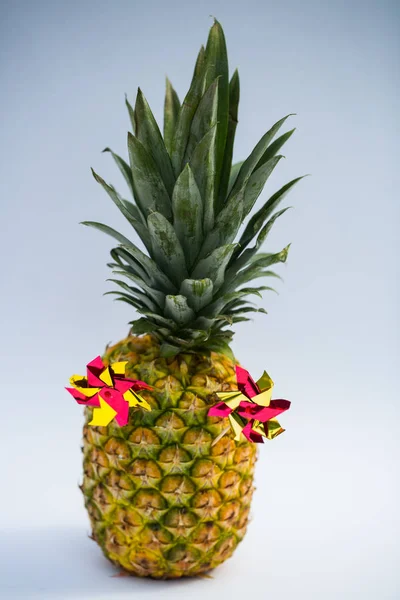 Ananas Met Windwheel Versheid — Stockfoto