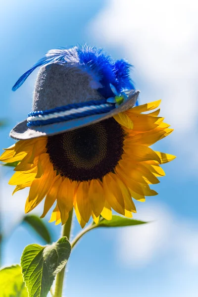 Chapeau D'épouvantail D'Halloween, Accessoire De Costume De Cosplay