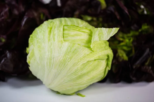 Burgunder Novita Eisbergsalat Organisch Biologisch Text — Stockfoto