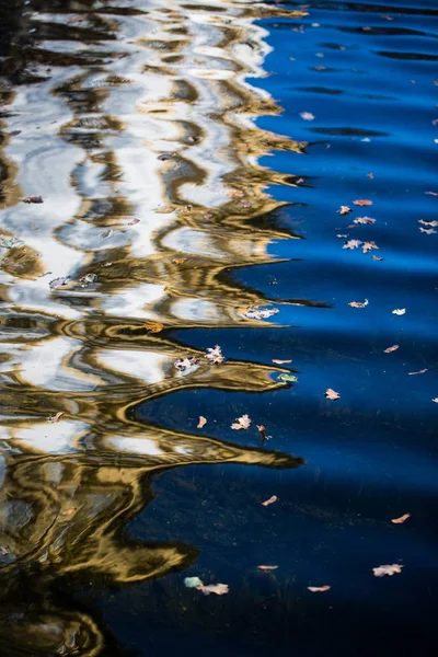 Reflexion Wasser Abstrakt Herbst Laub — Stockfoto