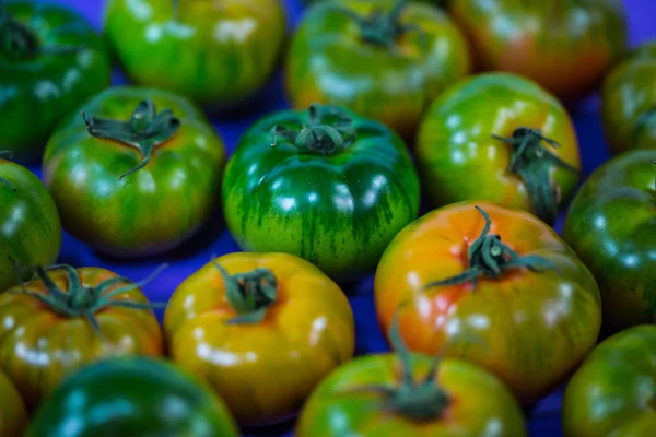 Mirinda Tomates Sicile — Photo