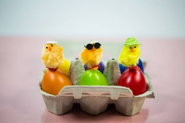 eggbox, pembe arka planda renkli yumurta üzerinde komik civciv