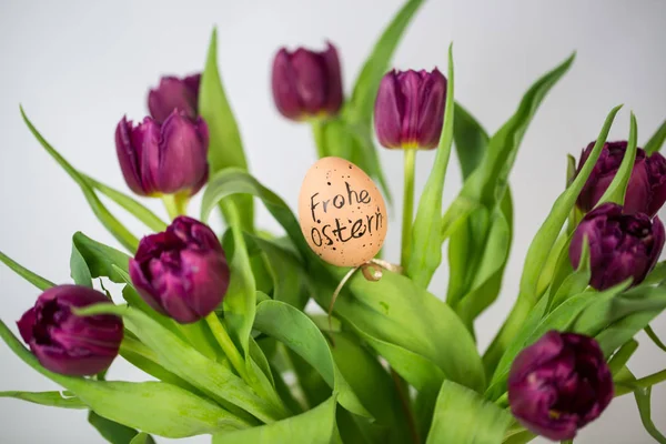 Tulipanes Con Huevo Pasas — Foto de Stock