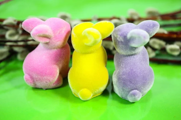 colorful easter bunnies on green background
