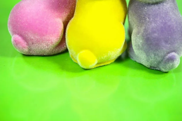 colorful funny easter bunnies from behind, easter bunnies from b