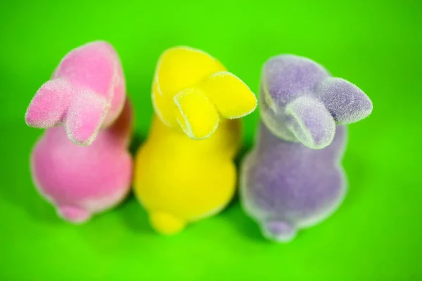 colorful funny easter bunnies from behind, easter bunnies from b