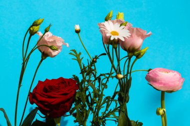 şişede çiçekler, mavi arka plan