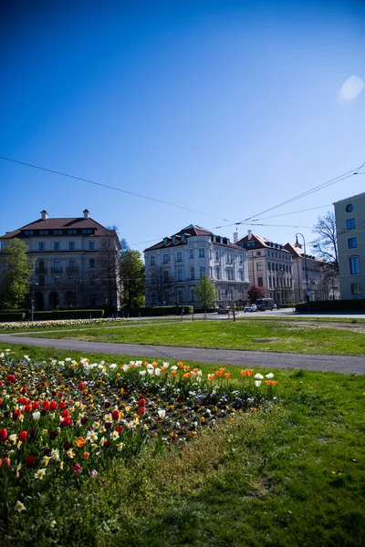 Rotonda Karolinenplatz Isola Centrale Piantato — Foto Stock