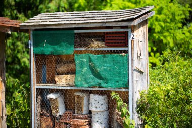 bahçede böcek çeyrek, Habitat