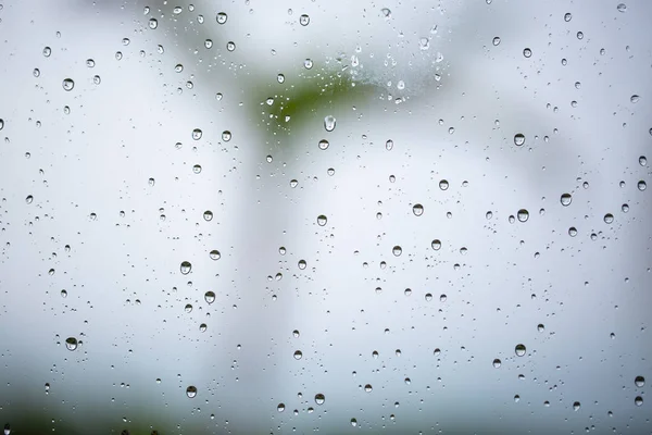 Raindrops on the windowpane — Stock Photo, Image