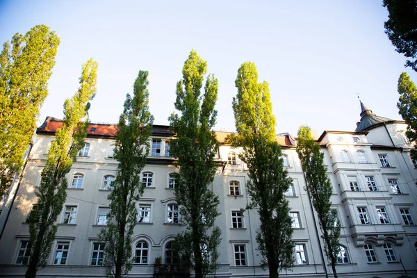 Residential Buildings Apartment Buildings Condominiums Sendling Poplars Front Houses Lindwurmstr — Stock Photo, Image