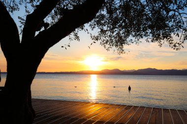 Bardolino göl gezintisinde zeytin ağaçlarıyla gün batımı